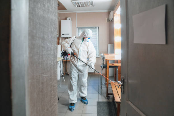 Best Dehumidification Services  in Malakoff, TX